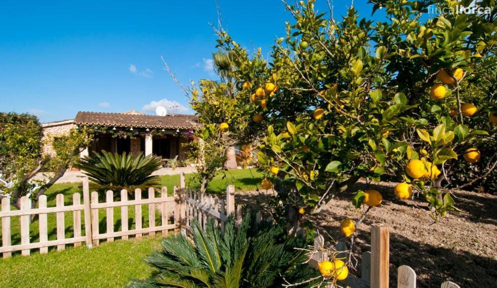 Finca Padre Vakantiehuis *