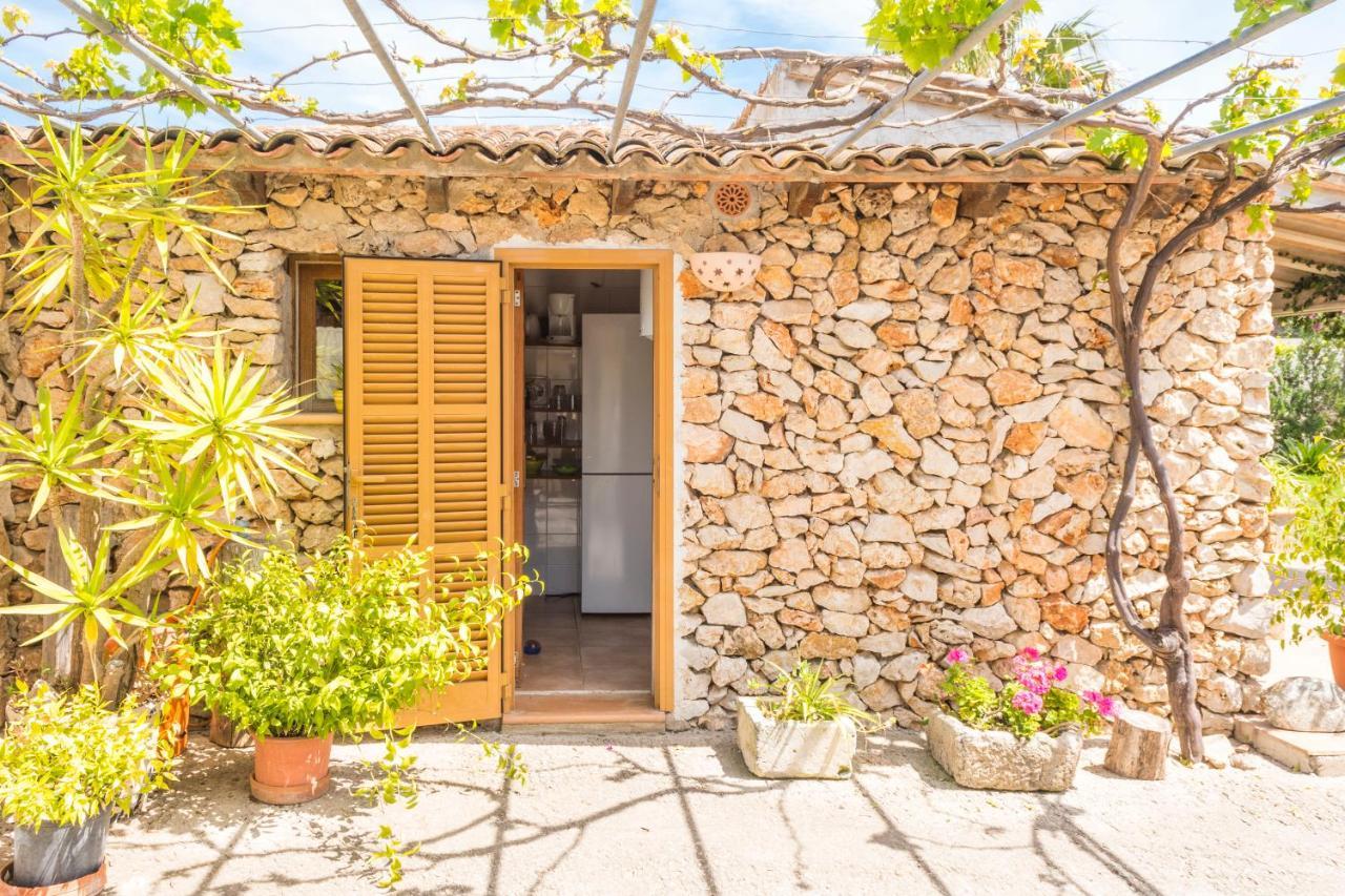 Vakantiehuis Finca Padre